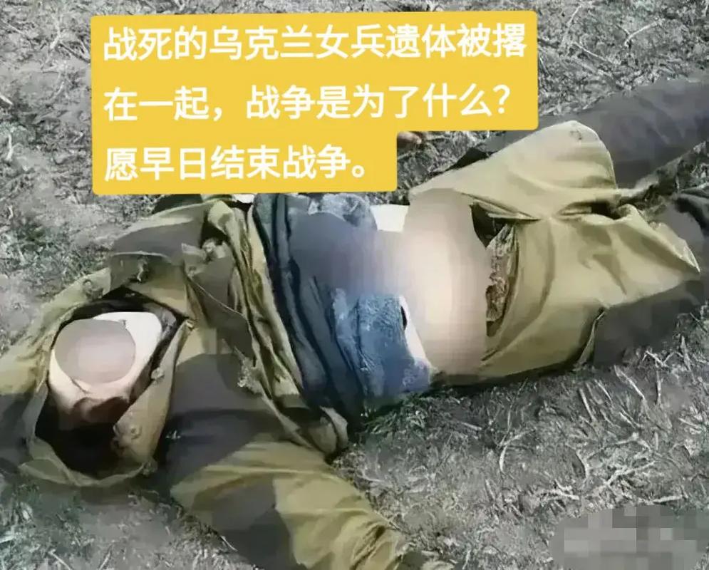 乌克兰面对场必败的战争还要做无谓的牺牲，值得吗「」 白菜价格