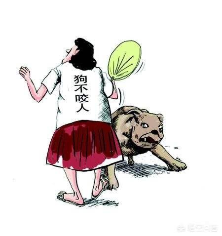 恶犬连咬5人被击毙，被咬女孩：不敢走这条路做梦都怕，如何宣传禁狗令「马未都打官司」 企业茄果类