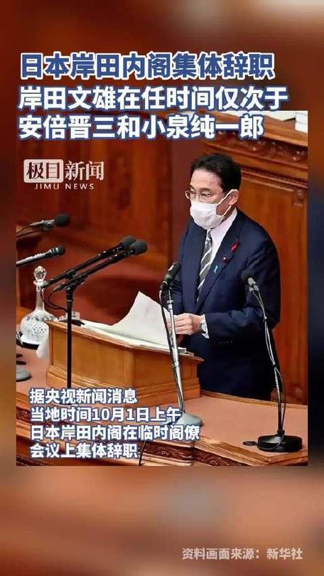 日本首相安倍为何突然辞职，安倍真的辞职了吗「日本岸田内阁成员」 蔬菜资讯