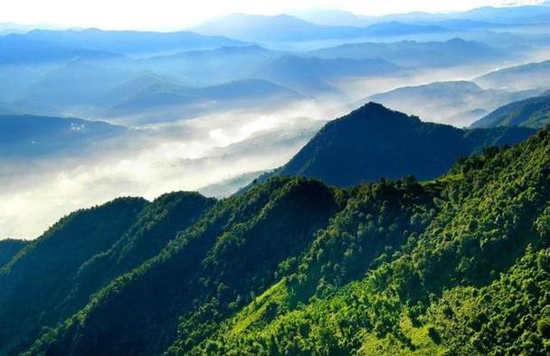 杨过的手是谁砍断的「哀牢山风景区住宿」 葱蒜类蔬菜