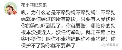 泰迪犬起身走了两步致老太受惊摔倒，狗主被判负全责赔偿20万，大家怎么看「骑单车遛狗撞伤老人怎么赔偿」 分类信息蔬果